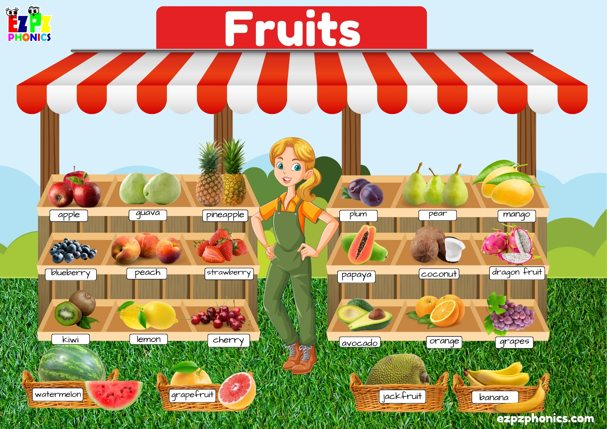 Fruits First English Words Picture Dictionary